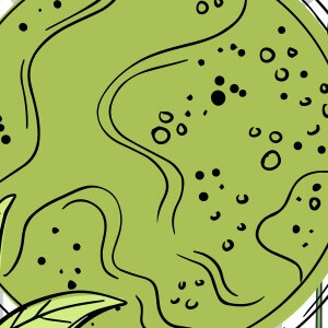Greenselect Phytosome